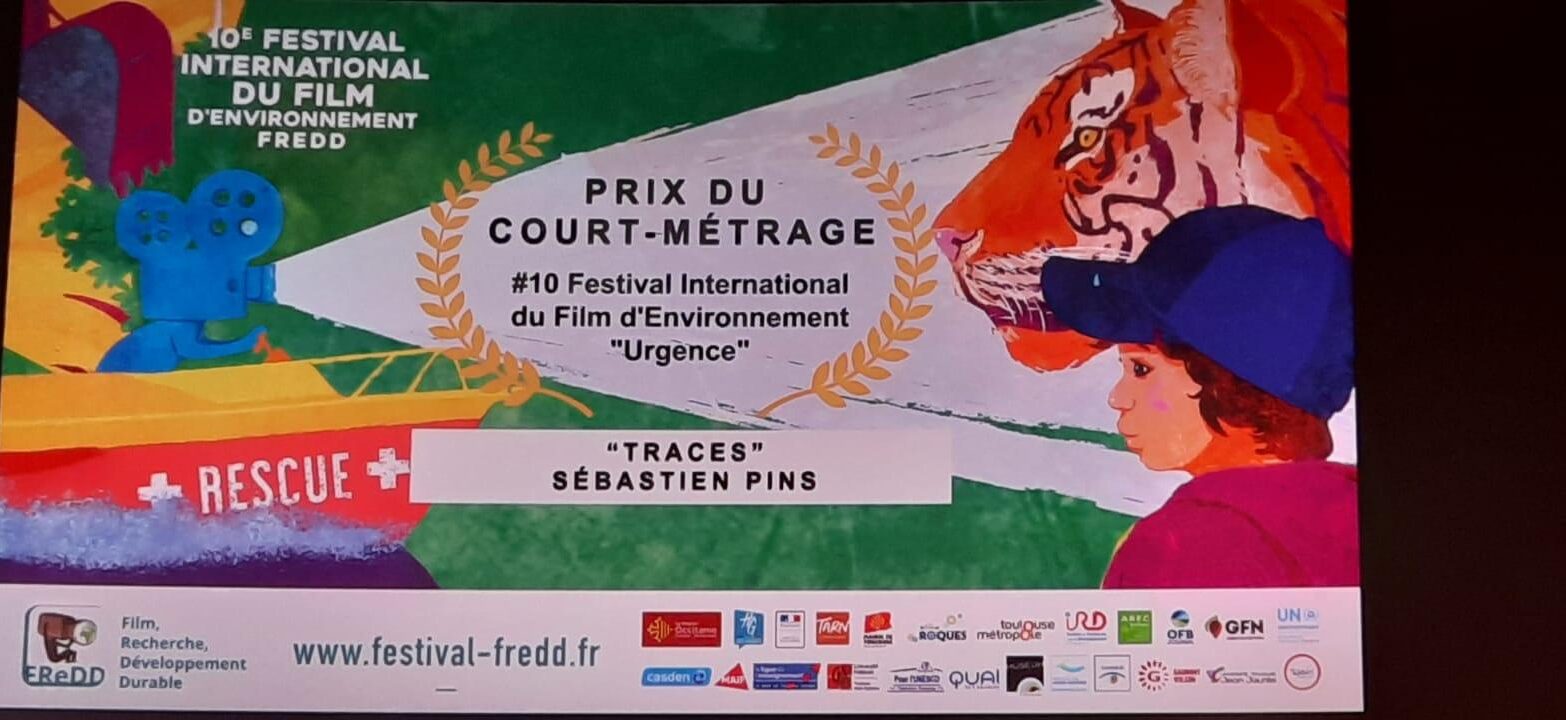 Accueil - Festival du Film de Muret