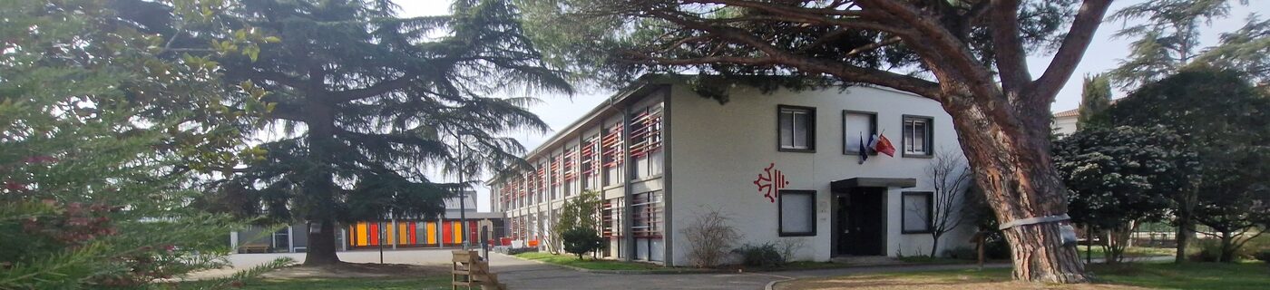 20250218_142647.jpg